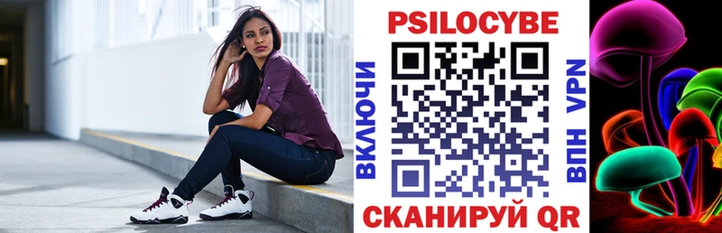 Галлюциногенные грибы Psilocybine cubensis  Кировград 
