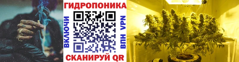 Бошки марихуана гибрид  Кировград 